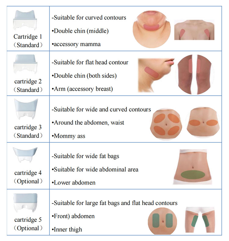 fat freeze lose weight