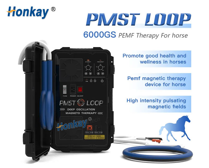 PMST Loop black/horse pemf machine