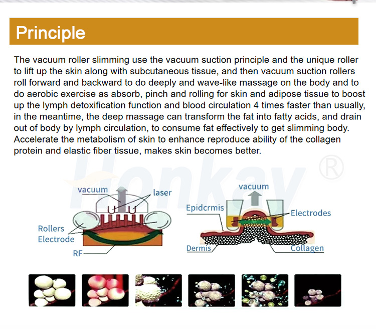 vela shape machine price